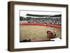 Bull Fighting, Tena, Ecuador, South America-Mark Chivers-Framed Premium Photographic Print