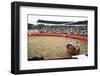 Bull Fighting, Tena, Ecuador, South America-Mark Chivers-Framed Premium Photographic Print