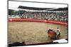 Bull Fighting, Tena, Ecuador, South America-Mark Chivers-Mounted Premium Photographic Print