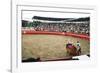 Bull Fighting, Tena, Ecuador, South America-Mark Chivers-Framed Photographic Print