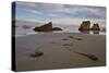 Bull Kelp Seaweed, Bandon Beach, Oregon, United States of America, North America-James Hager-Stretched Canvas