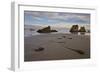 Bull Kelp Seaweed, Bandon Beach, Oregon, United States of America, North America-James Hager-Framed Photographic Print