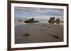 Bull Kelp Seaweed, Bandon Beach, Oregon, United States of America, North America-James Hager-Framed Photographic Print