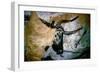 Bull: Lascaux, France-null-Framed Giclee Print