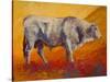 Bull Market-Marion Rose-Stretched Canvas