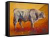 Bull Market-Marion Rose-Framed Stretched Canvas