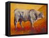 Bull Market-Marion Rose-Framed Stretched Canvas