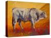Bull Market-Marion Rose-Stretched Canvas
