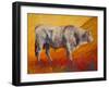 Bull Market-Marion Rose-Framed Giclee Print