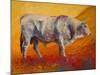 Bull Market-Marion Rose-Mounted Giclee Print