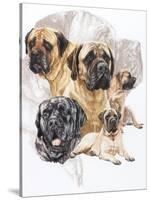 Bull Mastiff with Ghost-Barbara Keith-Stretched Canvas