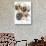 Bull Mastiff with Ghost-Barbara Keith-Stretched Canvas displayed on a wall