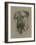 Bull Mastiff-Barbara Keith-Framed Giclee Print