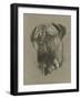 Bull Mastiff-Barbara Keith-Framed Giclee Print