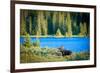 Bull Moose at Lake in Colorado-null-Framed Premium Giclee Print