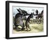 Bull Moose Campaign, 1912-W.A. Carson-Framed Giclee Print