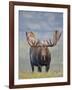 Bull Moose, Denali National Park, Alaska, USA-Hugh Rose-Framed Photographic Print