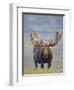 Bull Moose, Denali National Park, Alaska, USA-Hugh Rose-Framed Premium Photographic Print