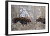 Bull Moose in Field with Cottonwood Trees, Grand Teton NP, WYoming-Howie Garber-Framed Photographic Print