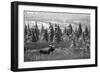 Bull Moose Wildlife, Denali National Park and Preserve, Alaska, USA-Hugh Rose-Framed Photographic Print