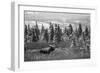 Bull Moose Wildlife, Denali National Park and Preserve, Alaska, USA-Hugh Rose-Framed Photographic Print