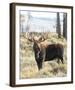 Bull Moose-Wink Gaines-Framed Giclee Print