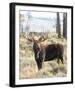 Bull Moose-Wink Gaines-Framed Giclee Print