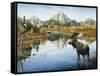 Bull Moose-Jeff Tift-Framed Stretched Canvas