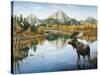 Bull Moose-Jeff Tift-Stretched Canvas
