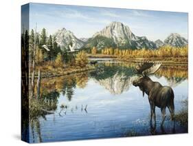 Bull Moose-Jeff Tift-Stretched Canvas