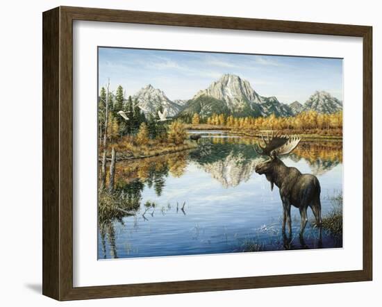 Bull Moose-Jeff Tift-Framed Giclee Print