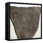 Bull motif on Pictish incised stone, Burghead, Moray, Scotland, c6th - 7th century. Artist: Unknown-Unknown-Framed Stretched Canvas