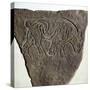Bull motif on Pictish incised stone, Burghead, Moray, Scotland, c6th - 7th century. Artist: Unknown-Unknown-Stretched Canvas