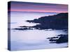 Bull Point, North Devon, Devon, England, United Kingdom, Europe-Jeremy Lightfoot-Stretched Canvas