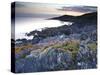 Bull Point, North Devon, Devon, England, United Kingdom, Europe-Jeremy Lightfoot-Stretched Canvas