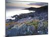 Bull Point, North Devon, Devon, England, United Kingdom, Europe-Jeremy Lightfoot-Mounted Photographic Print
