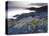 Bull Point, North Devon, Devon, England, United Kingdom, Europe-Jeremy Lightfoot-Stretched Canvas