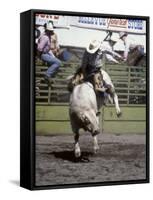 Bull Riding, Utah, USA-null-Framed Stretched Canvas