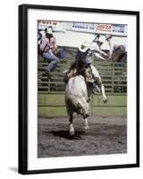 Bull Riding, Utah, USA-null-Framed Premium Photographic Print