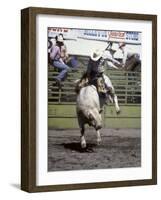 Bull Riding, Utah, USA-null-Framed Photographic Print