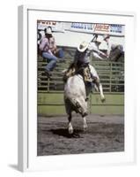 Bull Riding, Utah, USA-null-Framed Photographic Print