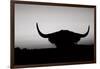 Bull Set BW Crop-Nathan Larson-Framed Photographic Print