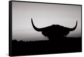 Bull Set BW Crop-Nathan Larson-Framed Stretched Canvas