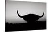 Bull Set BW Crop-Nathan Larson-Stretched Canvas