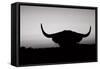 Bull Set BW Crop-Nathan Larson-Framed Stretched Canvas