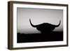 Bull Set BW Crop-Nathan Larson-Framed Photographic Print