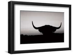 Bull Set BW Crop-Nathan Larson-Framed Photographic Print