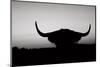 Bull Set BW Crop-Nathan Larson-Mounted Photographic Print