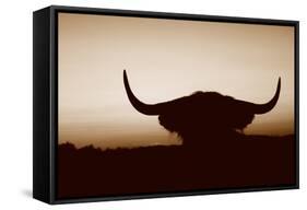 Bull Set Sepia Crop-Nathan Larson-Framed Stretched Canvas