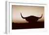 Bull Set Sepia Crop-Nathan Larson-Framed Photographic Print
